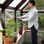 Beneficiile izolării suplimentare prin închiderea teraselor